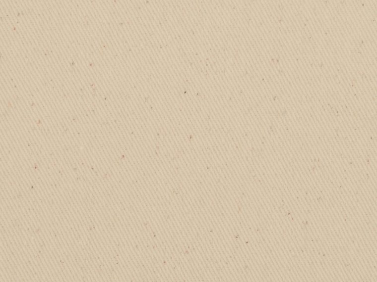 Рюкзак-мешок хлопковый «Lark» с цветной молнией — изображение 8