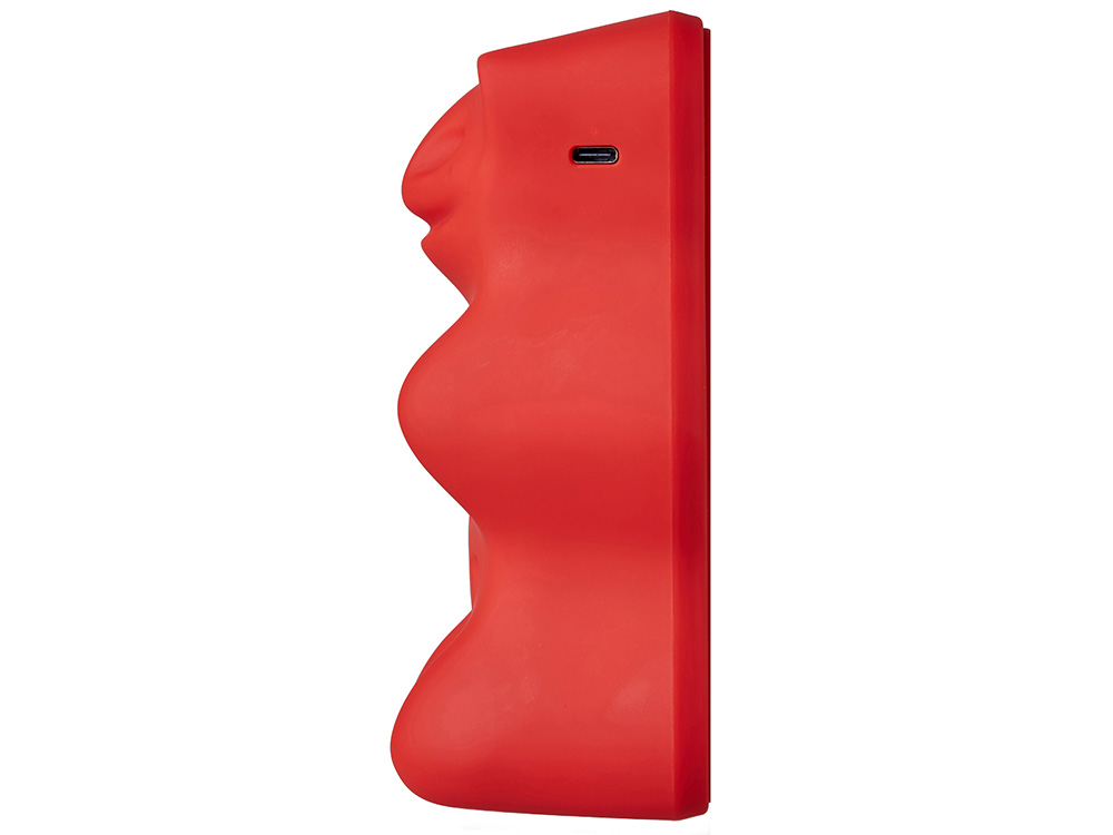 Беспроводная колонка с возможностью изготовления по индивидуальному дизайну — изображение 3